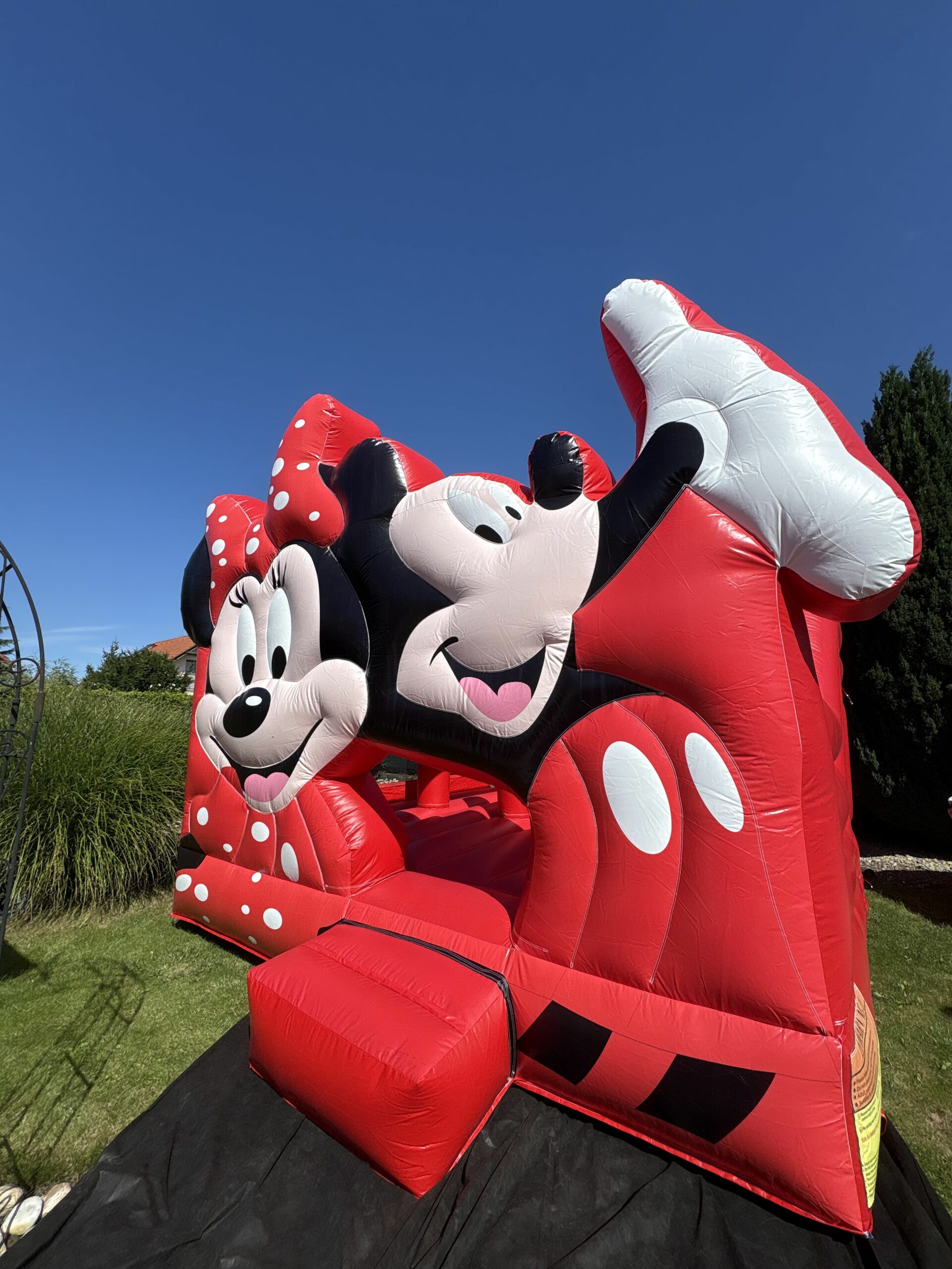 Skákaci hrad ,,Mickey a Minnie''